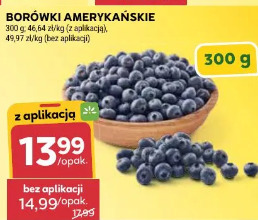 Borówki amerykańskie