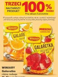 Winiary Galaretka