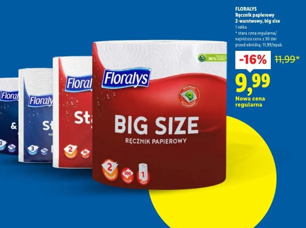 Floralys Ręcznik papierowy 2-warstwowy, big size