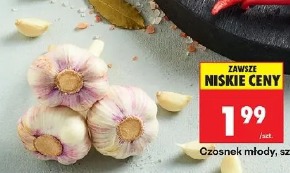 Czosnek młody, szt.