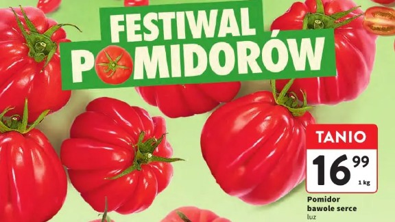 Pomidor bawole serce