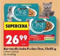 Karma dla kota Purina One