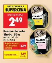 Sheba karma dla kota