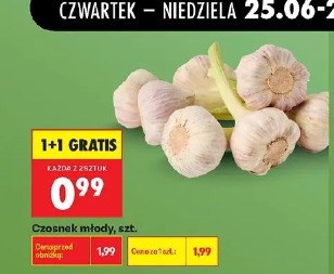 Czosnek młody