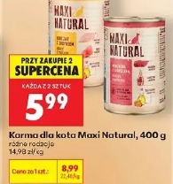Ciao Bisque karma dla kota