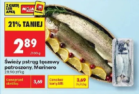 Świeży pstrąg tęczowy patroszony Marinero