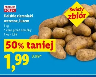 Polskie ziemniaki wczesne