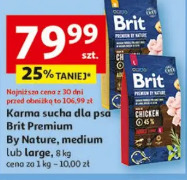 Brit karma sucha dla psa