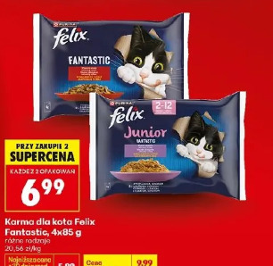 Karma dla kota Felix Fantastic