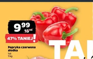 Papryka czerwona słodka