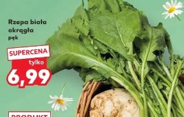 Rzepa biała okrągła