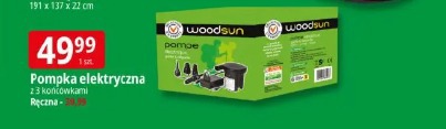Pompka elektryczna woodsun