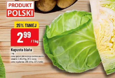 Kapusta biała