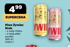 Piwo Żywiec Białe z nutą imbiru