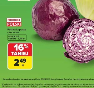 Polska kapusta czerwona