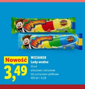 Wojanek Lody wodne