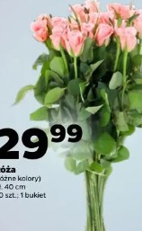 Róża