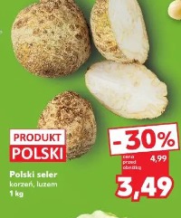 Polski seler korzeń