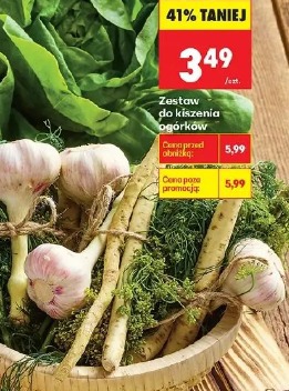 Zestaw do kiszenia ogórków