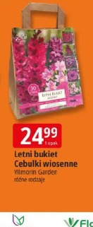 Letni bukiet Cebulki wiosenne Vilmorin Garden