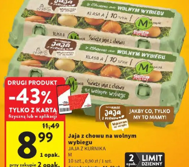 Jaja z chowu na wolnym wybiegu Jaja z kurnika M