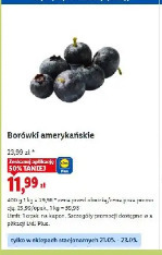 Borówki amerykańskie