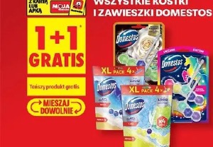 Wszystkie kostki i zawieszki Domestos