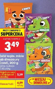 Żelki węże, misie lub dinozaury Candi