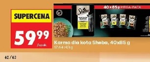 Karma dla kota Sheba