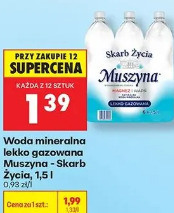 Woda mineralna lekko gazowana Muszyna - Skarb Życia